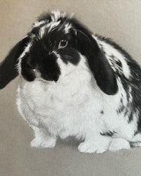 a drawing of a black and white rabbit